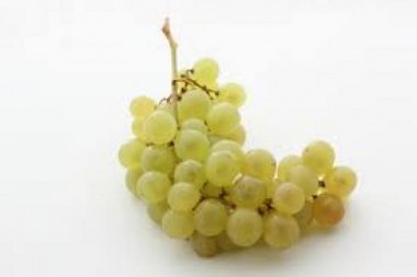 Raisin Chasselas