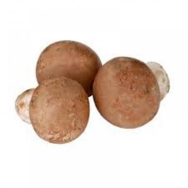 Champignon Blond